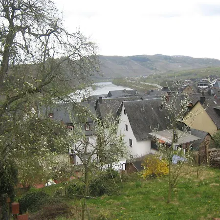 In Wehlen With Garden Bbq Fireplace Bicycles Bernkastel-Kues