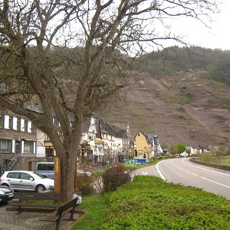In Wehlen With Garden Bbq Fireplace Bicycles Apartman